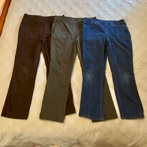 BUNDLE of Three Pair Real Size Women’s Stretchy Jeans, Petite Medium